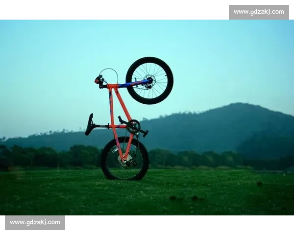 公路自行车赛竞技精神与速度策略的时代魅力全景展望与未来趋势